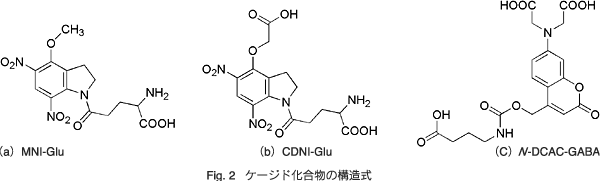 Fig.2 PK15(plasma kallikrein inhibitore)
