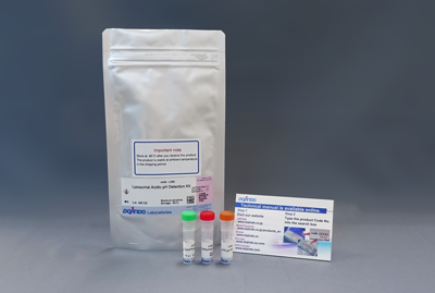 リソソームpH検出キット Lysosomal Acidic pH Detection Kit 同仁化学 
